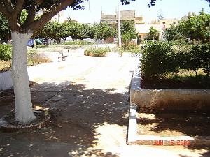 06 2006 ORAN CHOUPOT PLACE DE CHOUPOT